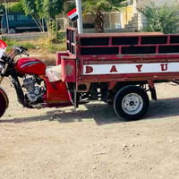 ستوته ديوان • مديل 2016 • أوراق كاملة