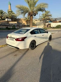 التيما • ٢٠١٨ • وارد امريكي