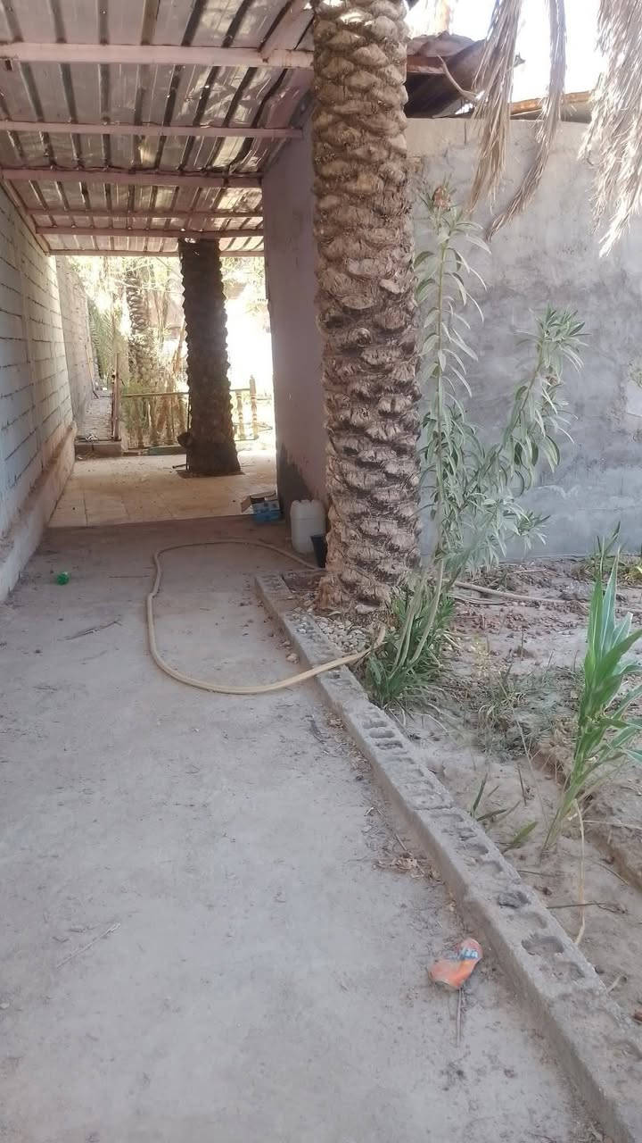 خلف جامعة العميد
طابو زراعي سند 25
أرض مساحة 550متر واجهه 15متر ونص
نزال 39 
تحتوي على اشجار ونخيل
السعر 250 مليون 
***********
