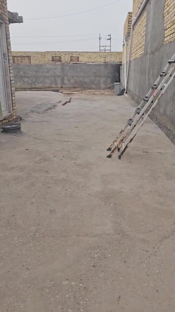 السلام عليكم
بيت زراعي بحي التربه ع شارع الخدمي قريب لشارع العام نهايه التربه
يتكون من غرفتين وصاله عدد 2 واستقبال ومطبخ وصحيات 
مساحه 630 وجهه البيت 4 م مساحه البناء 300 
استفسار اكثر اتصل ع الرقم ***********
خاص ماجاوب
