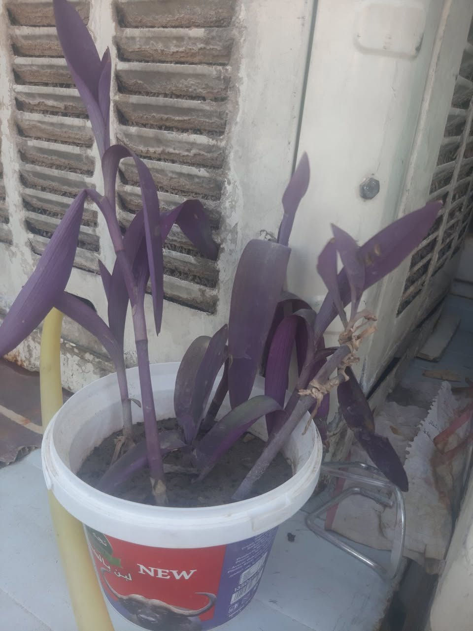 زرع لبيع داخل ابو دشير توصيل اكو


**إذا كنت صاحب هذا الإعلان وتريد حذفه لأي سبب، رجاءا أرسل رسالة إلى الدعم الفني**