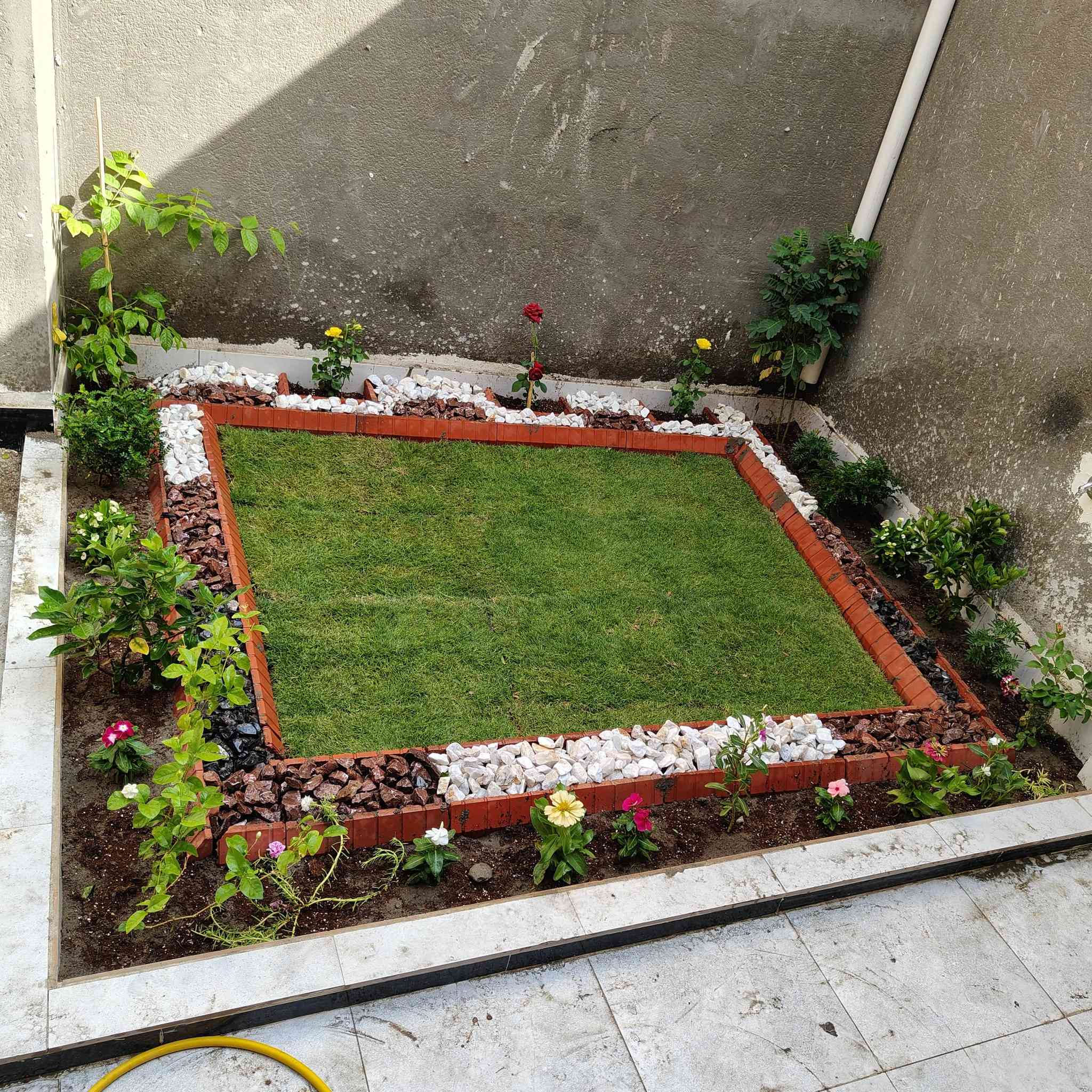 سلام عليكم
هذا شغلي في الناصريه متوفر كادر خاص مزراع وحدائق  تنظيف الحدائق وزراعتها قص الثيل.زراعه النخيل وتكريبه رش مبيدات فطريه ومعالجه الارضه  قلع الارض المالحه والقضاء ع الملوحه. امانه الله الشغل درجه اولى الشغل يرضي الله ويرضيك للاتصال ***********
