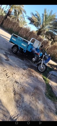 ستوته • موديل ٢١ • أوراق أصلية