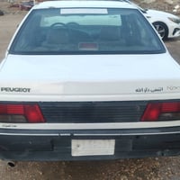 بيجو روا • ٢٠١٠ • دوانيه الشاميه