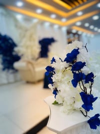 موظفة قاعة أعراس • خبرة دي جي