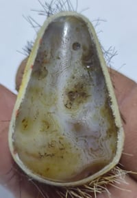 حجر سليماني