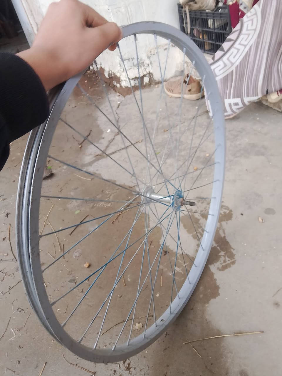 وياله للبيع حجم ٢٦ مختومات شرط مو تجاريات تجي تفحص بس موديل مابيهن والويل الخلفي جديد والويل الكدام استيل انضاف حيل بس يحتاج الهن تجريخ قليل السعر ٢٠ وبيهن مجال لطيبين


**إذا كنت صاحب هذا الإعلان وتريد حذفه لأي سبب، رجاءا أرسل رسالة إلى الدعم الفني**