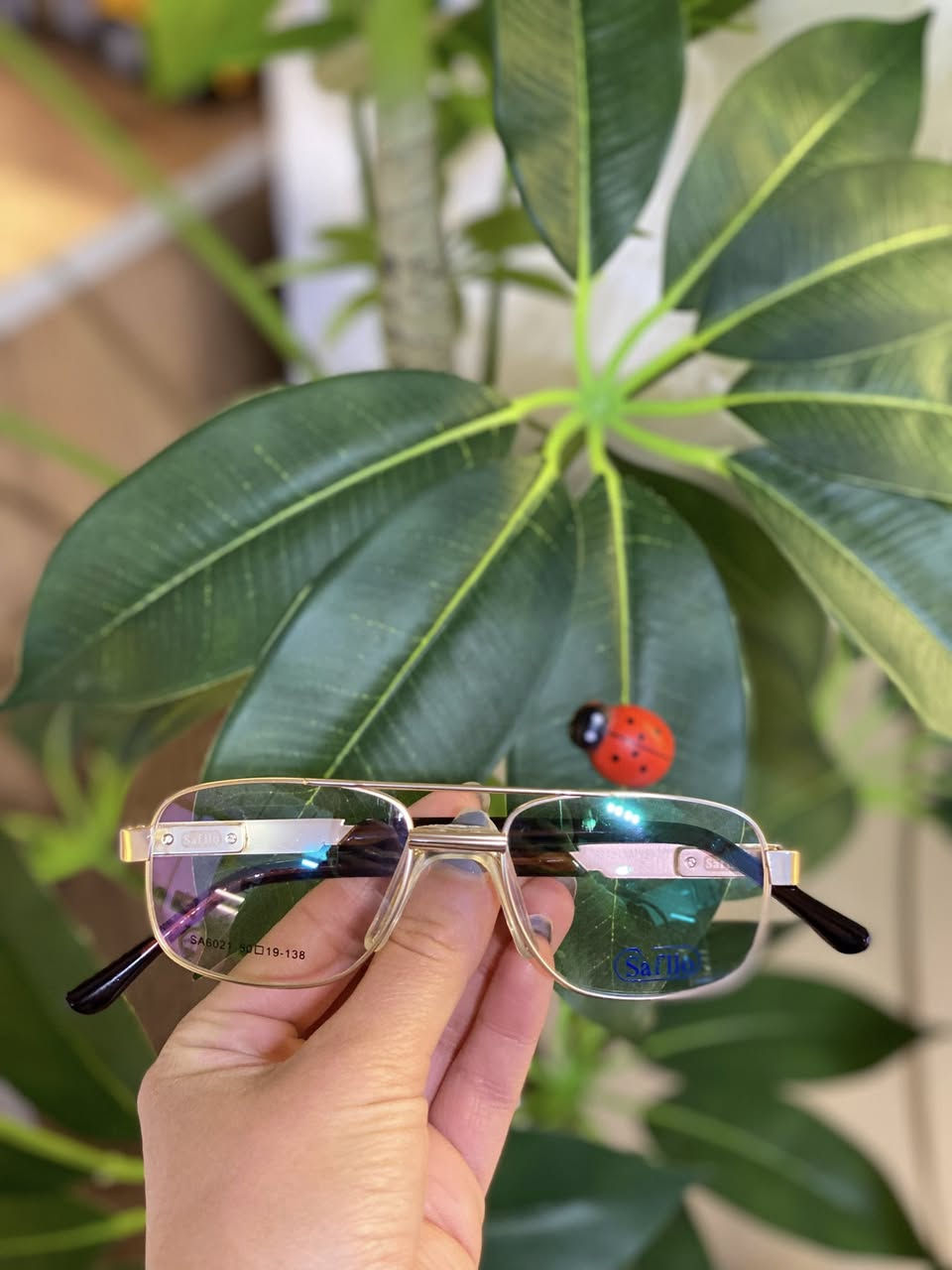 عوينات مصطفى للبصريات 👓
نقدم الكم من اقوى الاطارات معدن بمخدات ثابته 
مريحه للانف 😍
📍​العنوان: خانقين / شارع المزرعة، مقابل #مطعم_شيركو و #كرزات_عسوله.
​📞 للاستفسار والحجز: 
​*********** 
​اوقات عيادة من ساعه 03:00 عصر الى ساعه 09:00 ليلا
