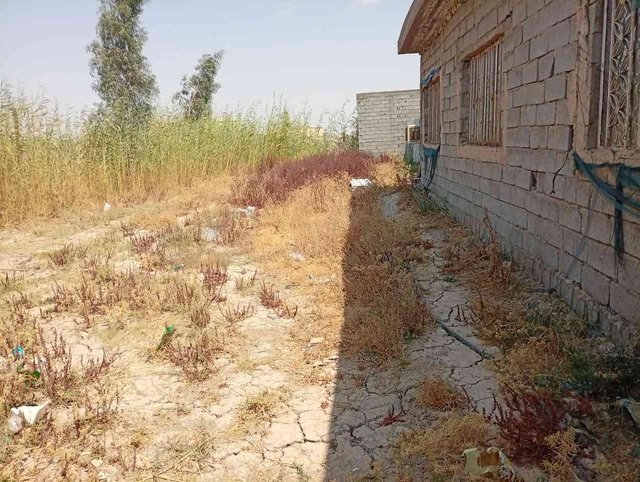 السلام عليكم عندي كاع ومشتمل بل سلاميات شعله زراعي عقد 35 مساحه 300 متر مي كهرباء  سحب السعر 7 مليون ***********
