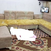 تخم • ديوان • مجال