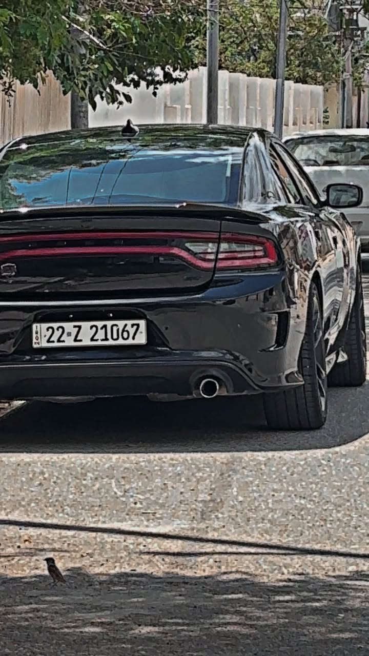 حادث 3 قطع باخ قطعه بلادي 
بدون اربك بدون دواخل بشرط 
ماشي 20 ميل كركوك, العراق


**إذا كنت صاحب هذا الإعلان وتريد حذفه لأي سبب، رجاءا أرسل رسالة إلى الدعم الفني**