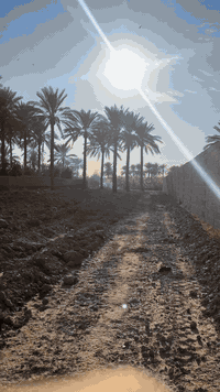 السلام عليكم ارض للبيع المساحة دونم واحد زراعي سند 25 واجهة الأرض 21متر العنوان /مدخل اثنين  للاستفسار ***********
