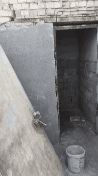 المشتل حي فدك رقم صاحب الدار ***********
