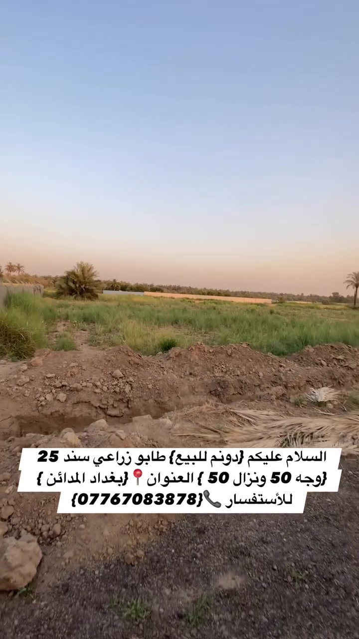 السلام عليكم {دونم للبيع} طابو زراعي سند 25 {وجه 50 ونزال 50 } العنوان📍{بغداد المدائن } منطقة الجعارة  يبعد من سدة الجعارة 500 متر 
للأستفسار 📞{***********}

  #بيع #عقار #مزارع #عقارات #ترند

