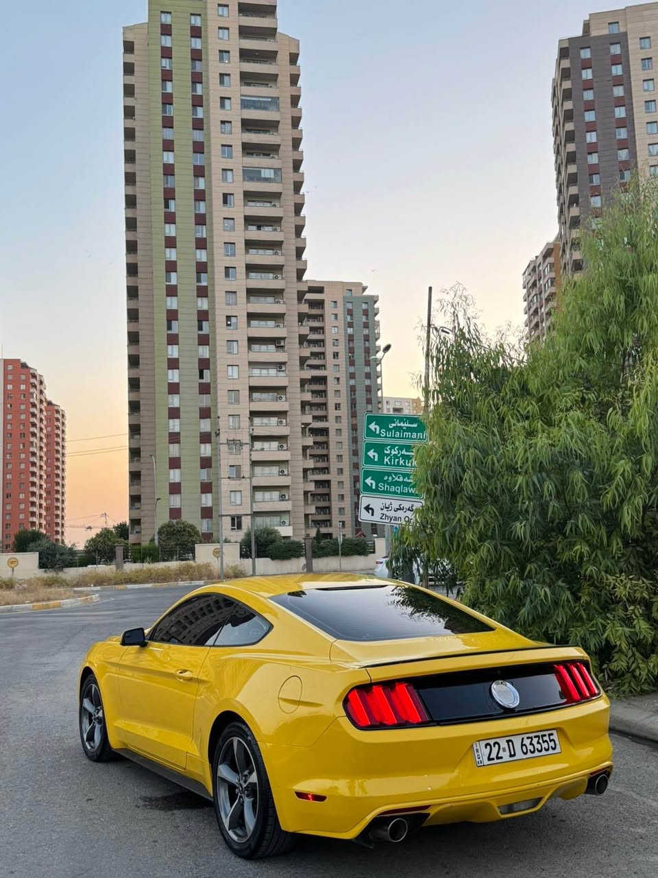 Mustang 2016 
موستانگ ٢٠١٦ بێ سبوخ بێ هەموو قەلبی لەسەر دەقی بیلادی مایتەوە و هەموو گیانی بیلادیە گیر مەکینە و سالنسە و هەموو شتی بیلادیە و ٨٥مایل رۆشتیە داوای ١٧٠ی لی دەکەم معامەلەی تیدایە أربيل, العراق


**إذا كنت صاحب هذا الإعلان وتريد حذفه لأي سبب، رجاءا أرسل رسالة إلى الدعم الفني**
