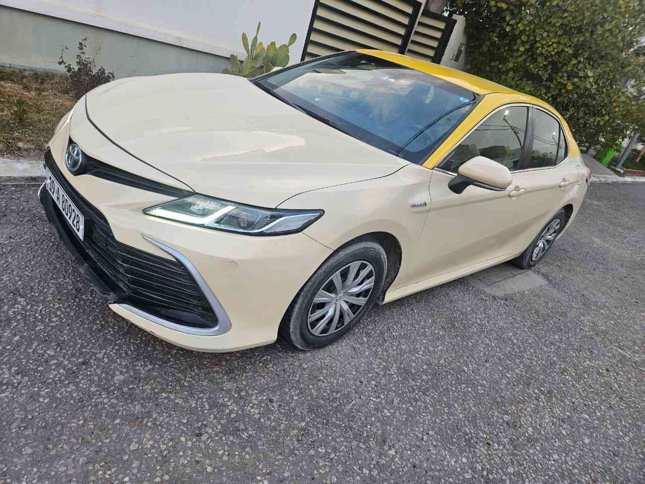 كامري تكسي دبي 2023  اصل
ضربة جاملغ خلفي طرف الايمن 

السعر 155 وبيها مجال 

المكان كربلاء  

*********** لتواصل
