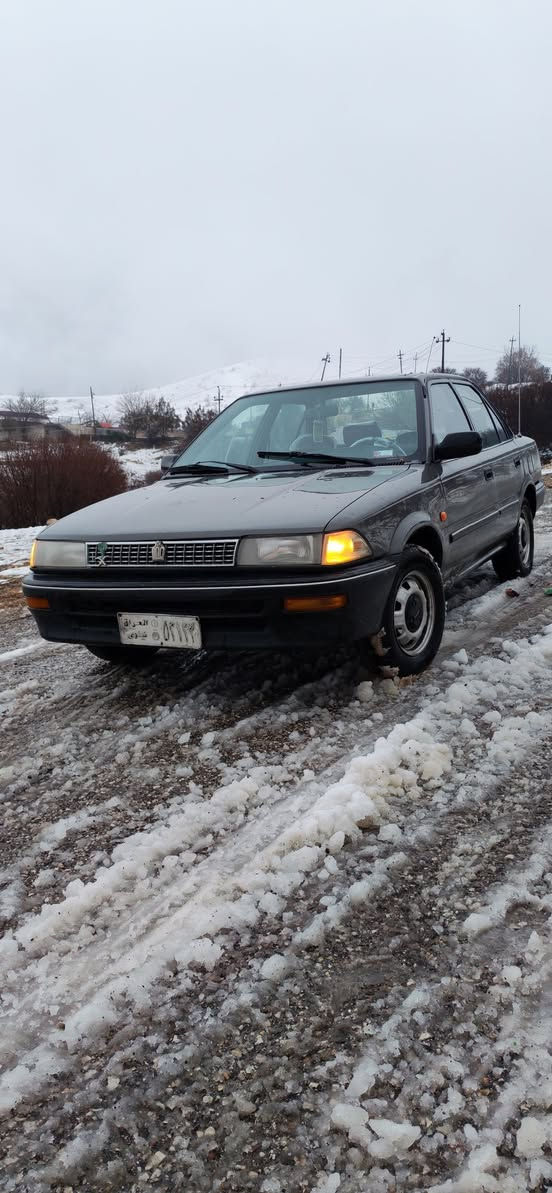 *********** السليمانية, العراق
