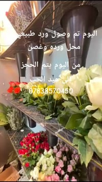 ورود طبيعية • حجز عيد الحب • شارع شيخ مجيد