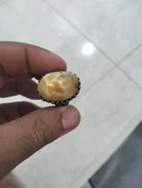 سلماني • عطف