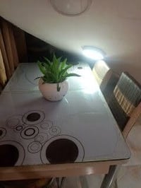بابل • بكرلي • قرب خط النفط