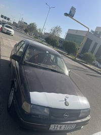 فيكترا • ١٩٩٣ • الضلوعية