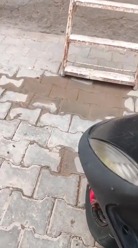 مكلف بالنشر
سلام عليكم ورحمة الله 
دراجه ماكس عدله للبيع مفتوحه الدراجه كهربائيات شغاله من طول لطول الدراجه حربيه ودراجه خوش دراجه نهضه حلوه سعرها 500 وبيها مجال بسيط رقم راعيها +964 774 217 2908
البصره القرنة الشرش


**إذا كنت صاحب هذا الإعلان وتريد حذفه لأي سبب، رجاءا أرسل رسالة إلى الدعم الفني**