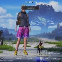 حساب ببجي • تبديل