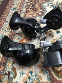 هورن • طاط • أصلي