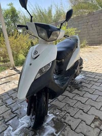 ماكس • ثعلب • نضيفه