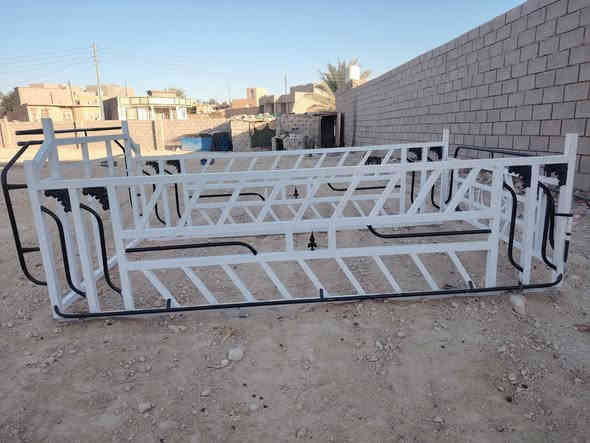 محجل للبيع فصال حلو وجديد صبغ جديد سعره 250 استفسار *********** ***********
