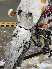 بوكسر جبلي • موديل 2018 • مكينة تنقص