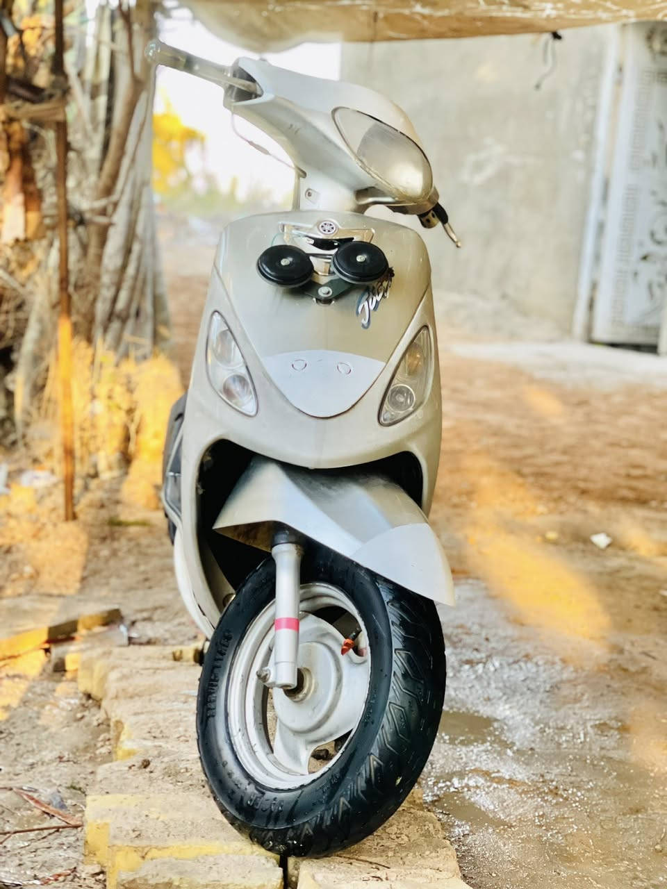 للبيع 
المكان نجف مناذرة ابو صخير 
السعر ٥٥٠ 
***********
