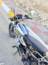 ايراني • ١٥٠ • ٢٠٢٤