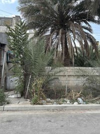 🏠 قطعه ارض للبيع  📍الموقع : شارع فلسطين محله 503 حي النيل  🛑المساحه ال...