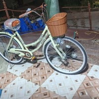 جديد • مجال قليل • البصره ابي الخصيب