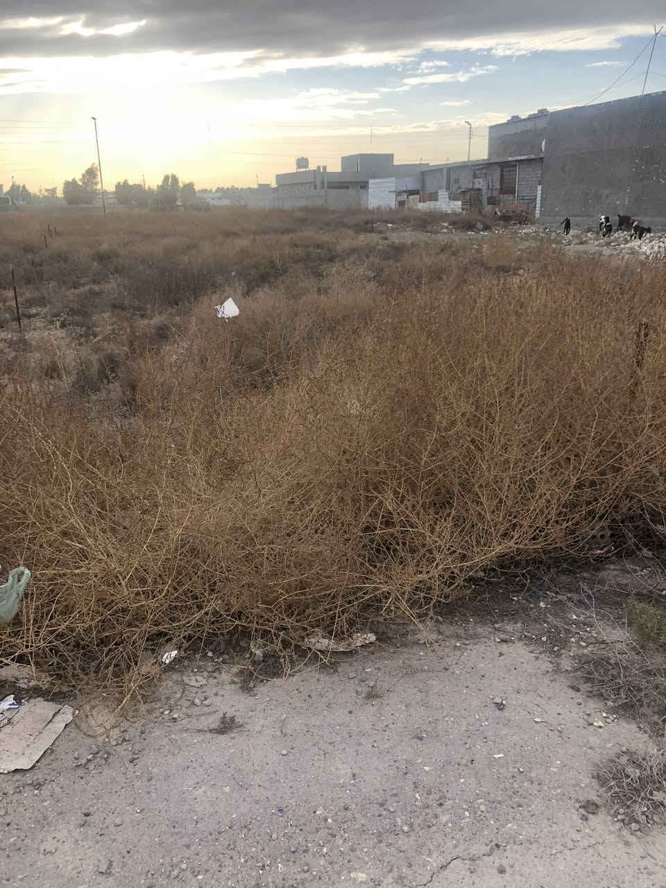 السلام عليكم قطعه ارضي زراعي 
سند ٢٥
في منطقه هور رجب بالمنتجع السكني 
تفاصيل اكثر لاتصال 
***********
***********
