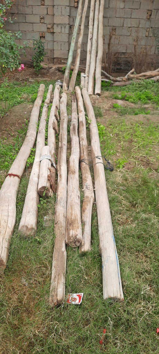 سلام عليكم  اعمده خشب للبيع العدد 22 عمود كبير وصغير مثل ماموضح بصور الاستفسار على الرقم ***********
