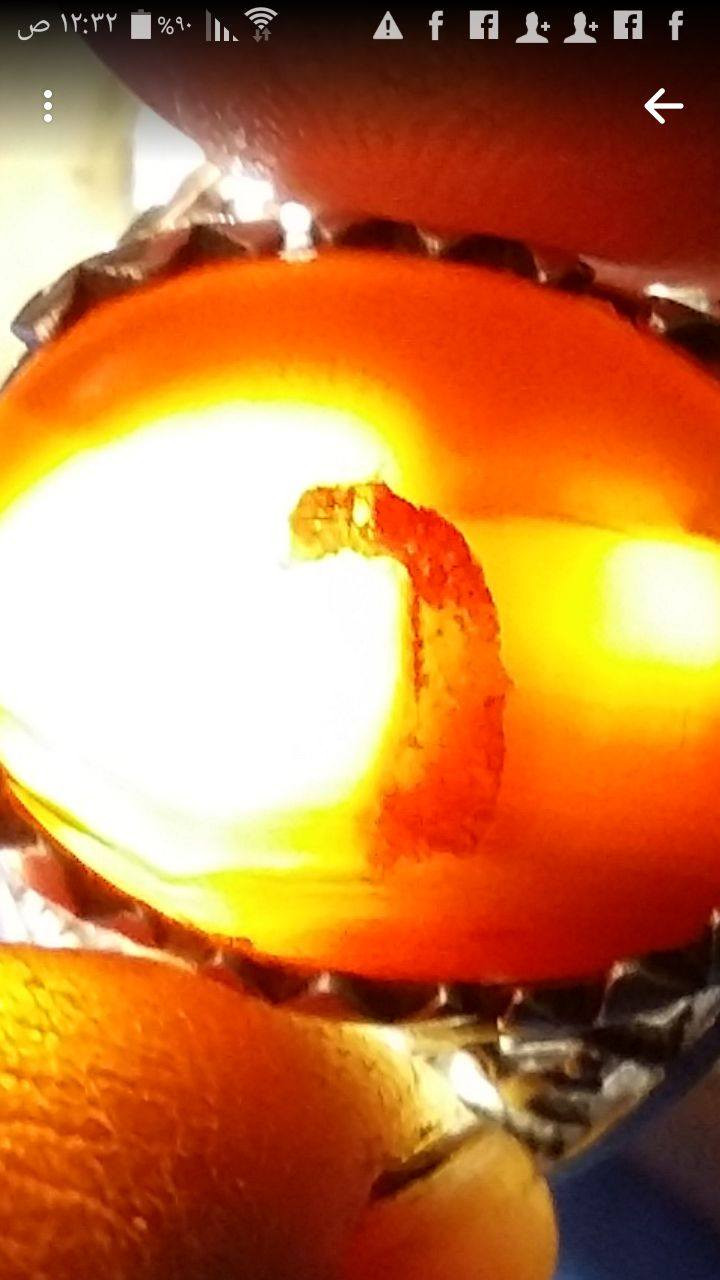 خواتم مباركه مصوره منها اسم الله ومحمد وعلي للبيع


**إذا كنت صاحب هذا الإعلان وتريد حذفه لأي سبب، رجاءا أرسل رسالة إلى الدعم الفني**