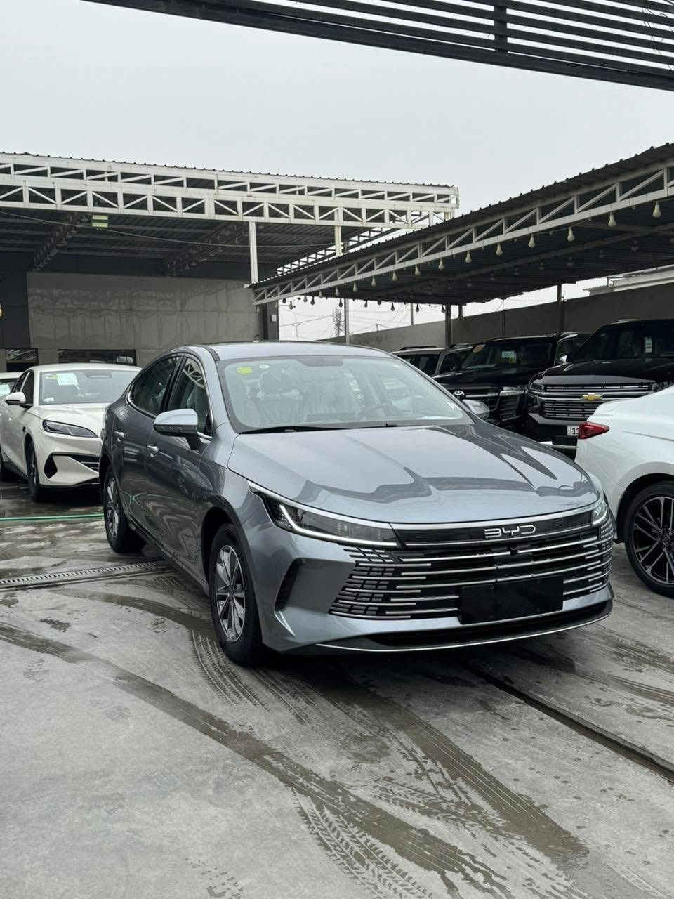 للبيع مرقمة


**إذا كنت صاحب هذا الإعلان وتريد حذفه لأي سبب، رجاءا أرسل رسالة إلى الدعم الفني**