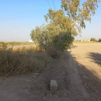 18 دوانم للبيع على المشروع الاراضي مباشرتا العنوان تاجي ذراع دجله تباع...