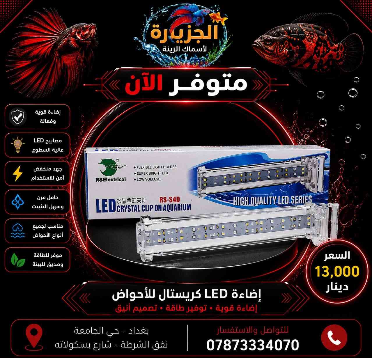 🔥 اطلب وانت بمكانك! 🔥
🚚 توصيل داخل بغداد بـ 5,000 دينار فقط
📦 توصيل لجميع المحافظات بـ 6,000 دينار فقط
✅ تغليف آمن
✅ شحن سريع
✅ استلام مضمون
📞 ***********
📍 معرض الجزيرة لأسماك الزينة - بغداد حي الجامعة نفق الشرطة شارع بسكولاتة.

#CoraFeed
