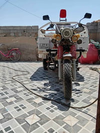 ستوته • موديل 19 • مكفولة