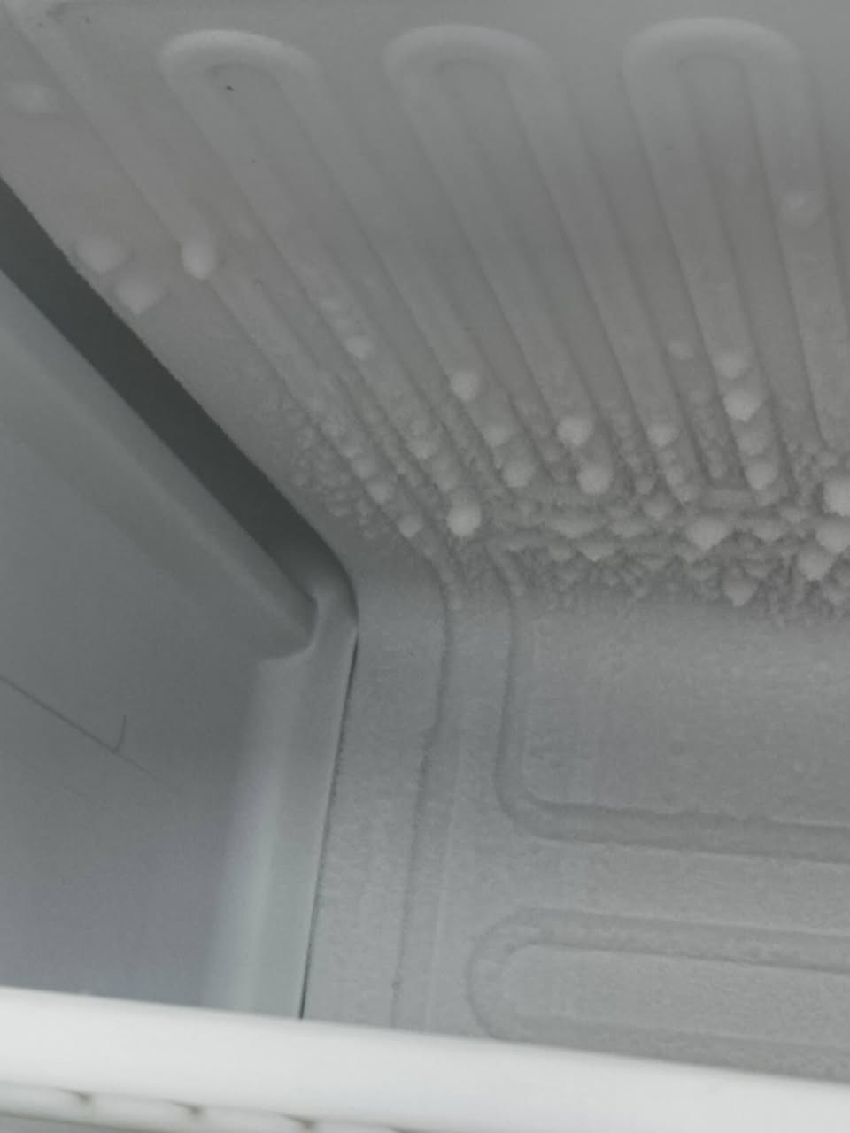 السلام عليكم ورحمه الله وبركاته
ثلاجة ومجمدة للبيع 
يشتغلن كلشي مابيهن جدد
تنويه: سبب البيع المكان 
ثلاجة شغالة وكلشي مابيهة وتجميد فول وتبريد فول 
.
.
.

مجمدة شرط التجميد وجديدة وكلشي مابيهة 3 سرع شغالة 
تبريد
تجميد 
والسرعة الاقصى الهة
.
.
.

طباخ نار 🔥 كلش زينة شرط الفحص والفرن مالتة شغال فول 
.
.
.

اوفن شوي ممتاز وكلش زين هم ع الفحص 
للاستفسار الاتصال على الرقم الموجود فيس ما متواجد فقط رقم
***********
