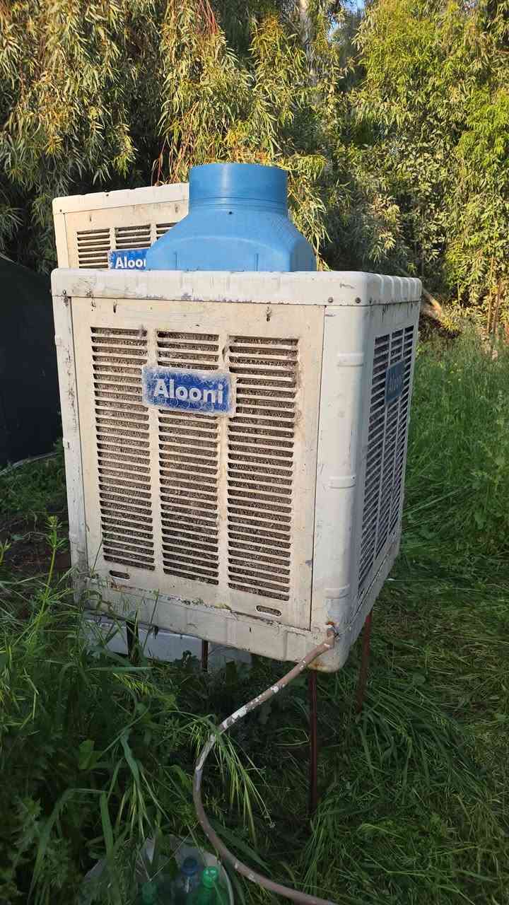 للبيع مبرده الونه اماراتي مطور اصلي 
المراسله على خاص


**إذا كنت صاحب هذا الإعلان وتريد حذفه لأي سبب، رجاءا أرسل رسالة إلى الدعم الفني**