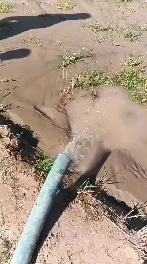 حفر الابار الارتوازيه. ***********
يعلن عن حفر الابار بكافة الاحجام
غسل وتنشيف الابار 
حفر الركائز
حفر النقاط 
حفر وفحص التربه
وعمل كافه المقاولات العامه
نعمل في كافه محافضات العراق
دقه في العمل وسرعه في الانجاز
