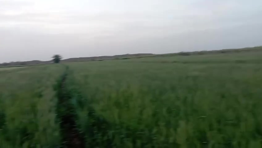 السلام عليكم ورحمه الله وبركاته ارض زراعيه للبيع المساحه ٦٠ دونم متوفر ماء كهرباء على طول السنه العنوان بابل الحمزة الغربي 
منطقه السعيدان تبعد عن الشارع العام الدولي ٣ كيلوا السعر جدا مناسب للاستفسار مراسله الصفحه على الخاص مكلف بالنشر


**إذا كنت صاحب هذا الإعلان وتريد حذفه لأي سبب، رجاءا أرسل رسالة إلى الدعم الفني**