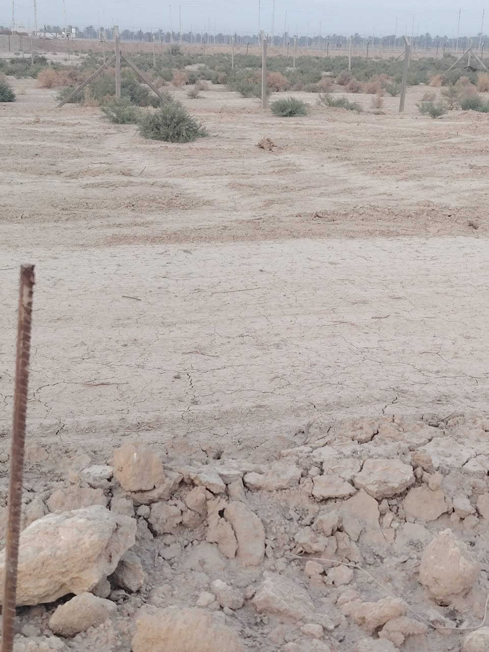 قطعة 200 م للبيع طابو زراعي سند 25 بسمي تحويل مباشر تبعد عن جامعة المستقبل 100 م
خدمات كاملة تبليط كهربا..... للاتصال ***********
السعر 36 غير متواجد عل الخاص
