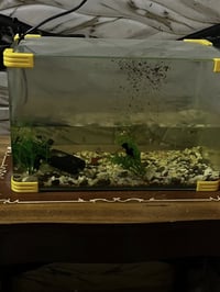 حوض سمك • ميسان نهاوند الثانية • مجال قليل