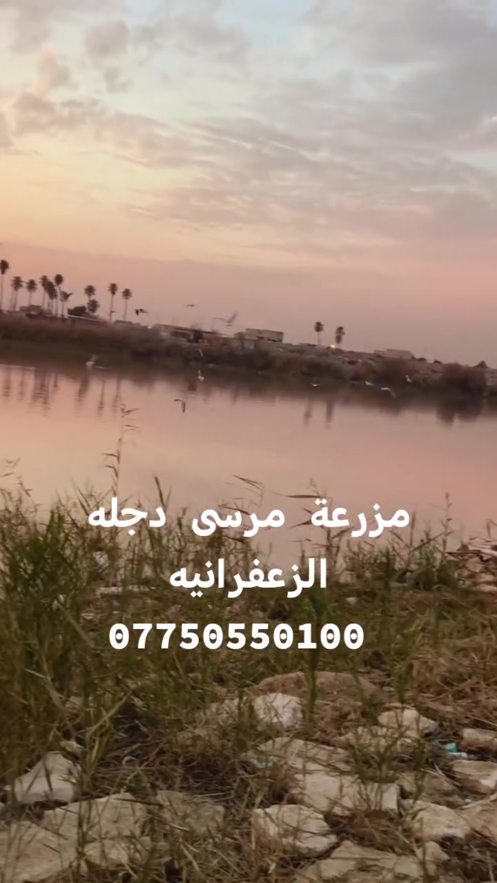 #مزرعه_مرسى_دجله #الزعفرانيه_الاربع_شوارع #اكبسلور
#بغداد #ضفاق_على_نهر_دجله
للحجز والاستفسار *********** او واتساب
#بغداد_الزعفرانيه_سعيدة_نهر_دجله
#الزعفرانيه_الاربع_شوارع
