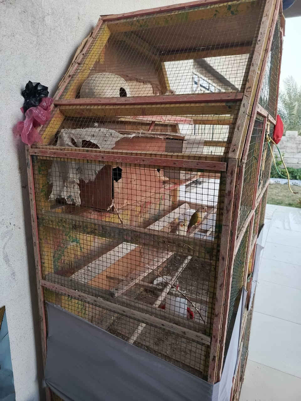 قفص خشب جبير مراوس برج مال طيور


**إذا كنت صاحب هذا الإعلان وتريد حذفه لأي سبب، رجاءا أرسل رسالة إلى الدعم الفني**